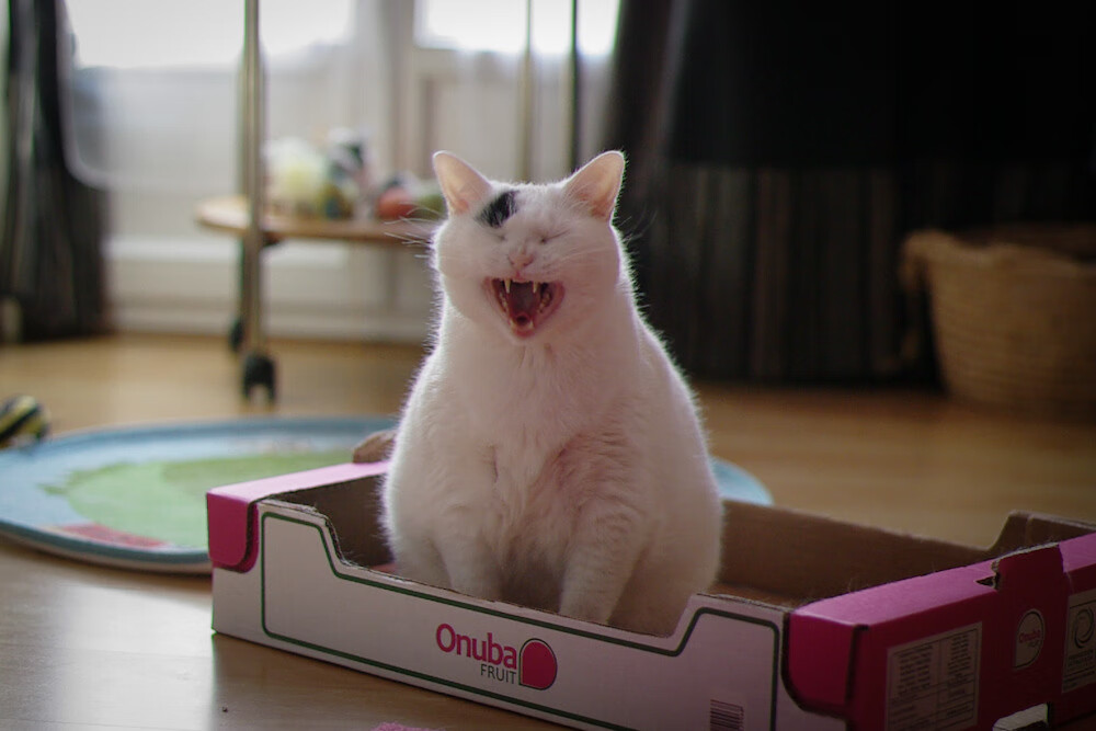 kaiyun体育app-“法甲冠军争夺战：豪门纷纷发力拼霸主地位”，法甲夺冠概率