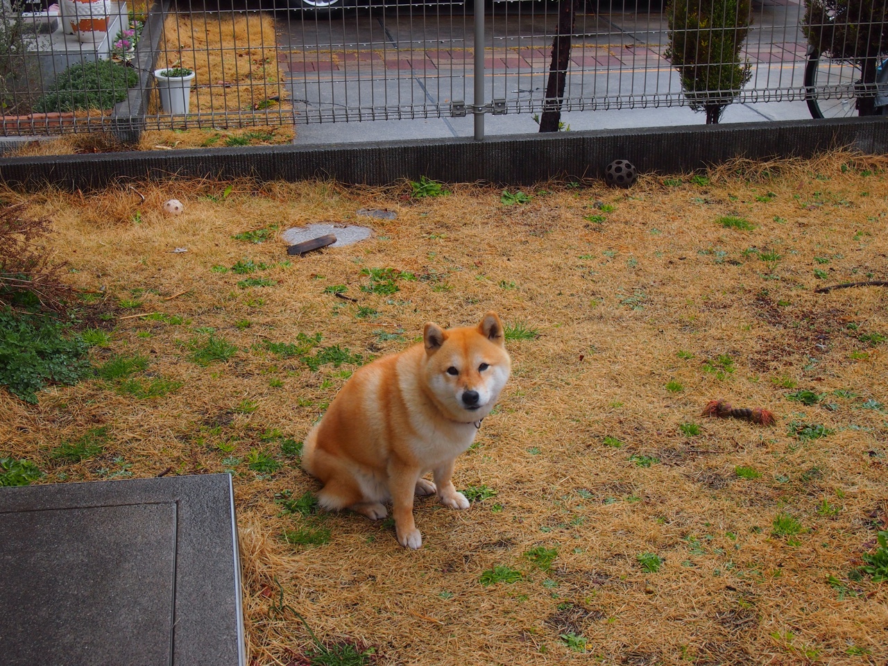 开云入口-全球车迷：比赛外的文化交流，全球车系